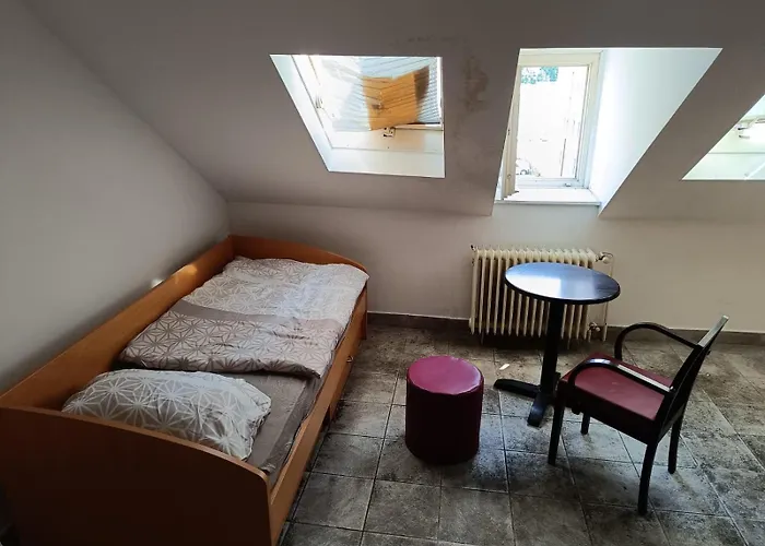 Ana بيت شباب ليوبليانا